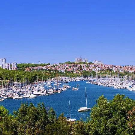 Din 아파트 풀라